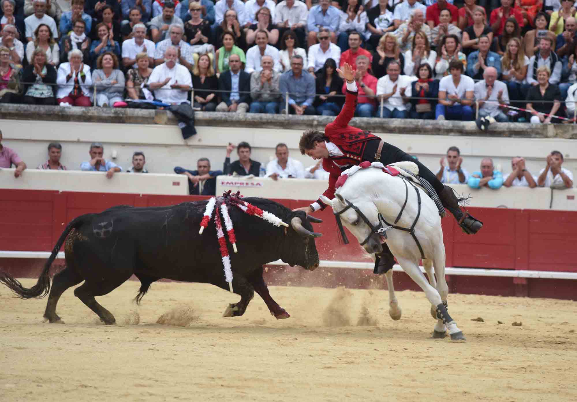horse corrida