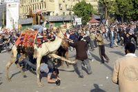 Egypte - Charge à dos de chameau contre les manifestants occupant la place Tahrir
